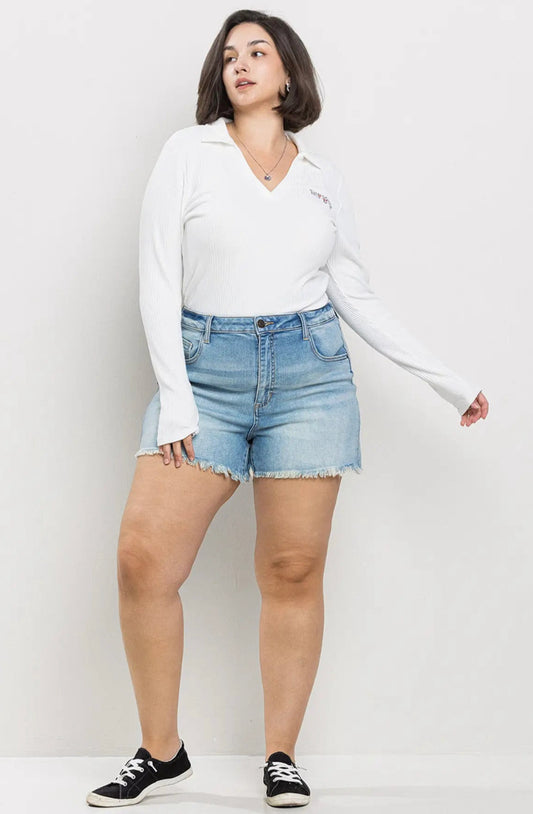 Curvy High Rise Denim Cutoff Shorts